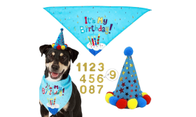Hond Bandana Verjaardagset Blauwe honden verjaardagsset met kleurrijke 'It's My Birthday!' bandana, lichtgewicht voor hondencomfort.