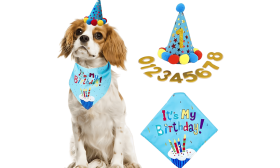 Hond Bandana Verjaardagset Blauwe honden verjaardagsset met kleurrijke 'It's My Birthday!' bandana, zacht en duurzaam.
