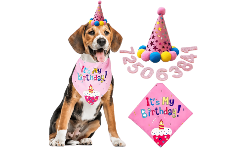 Set d'anniversaire pour chien rose avec bandana coloré "C'est mon anniversaire !", doux et durable.