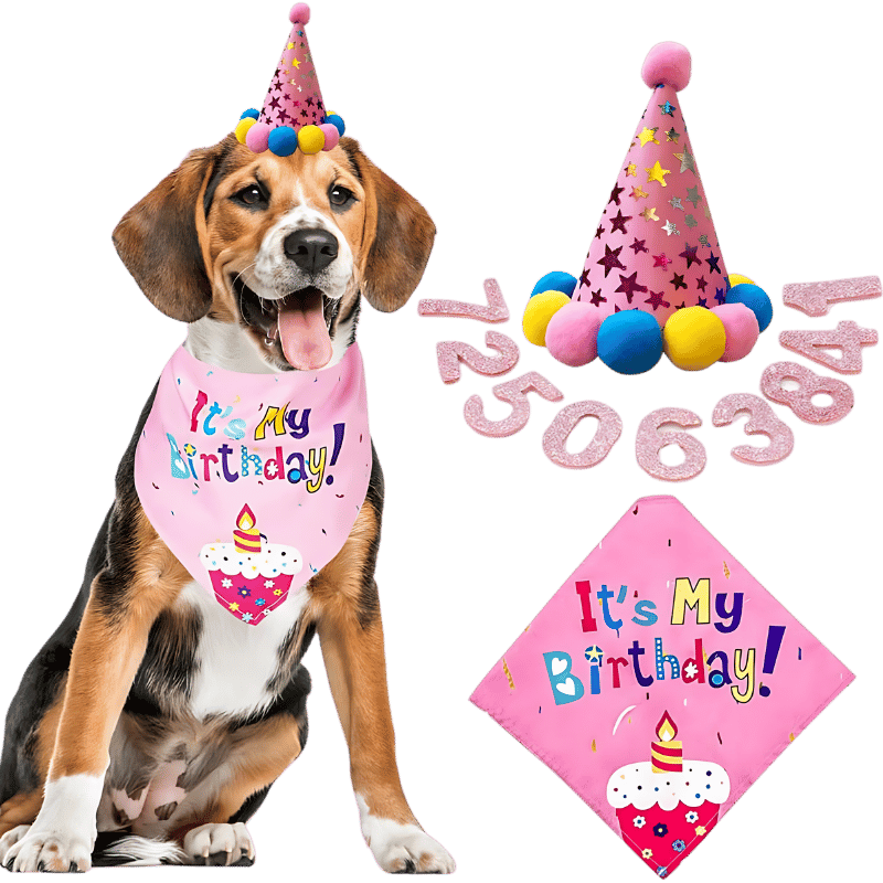 Ensemble d'anniversaire avec Bandana pour Chien Set d'anniversaire pour chien rose avec bandana coloré "C'est mon anniversaire !", doux et durable.