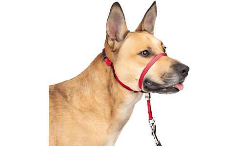 Collier de tête anti-traction rouge pour chien avec sangle ajustable noire et boucle de nez rembourrée, taille petite.