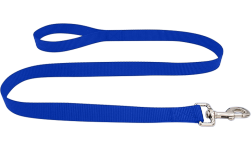 Laisse chien en nylon noir durable 120 cm, facile à nettoyer, avec poignée confortable et fermoir argenté sécurisé.