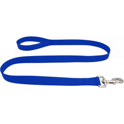Duurzame blauwe nylon hondenriem 120 cm, makkelijk te reinigen, met comfortabel lus handvat en zilveren haak.