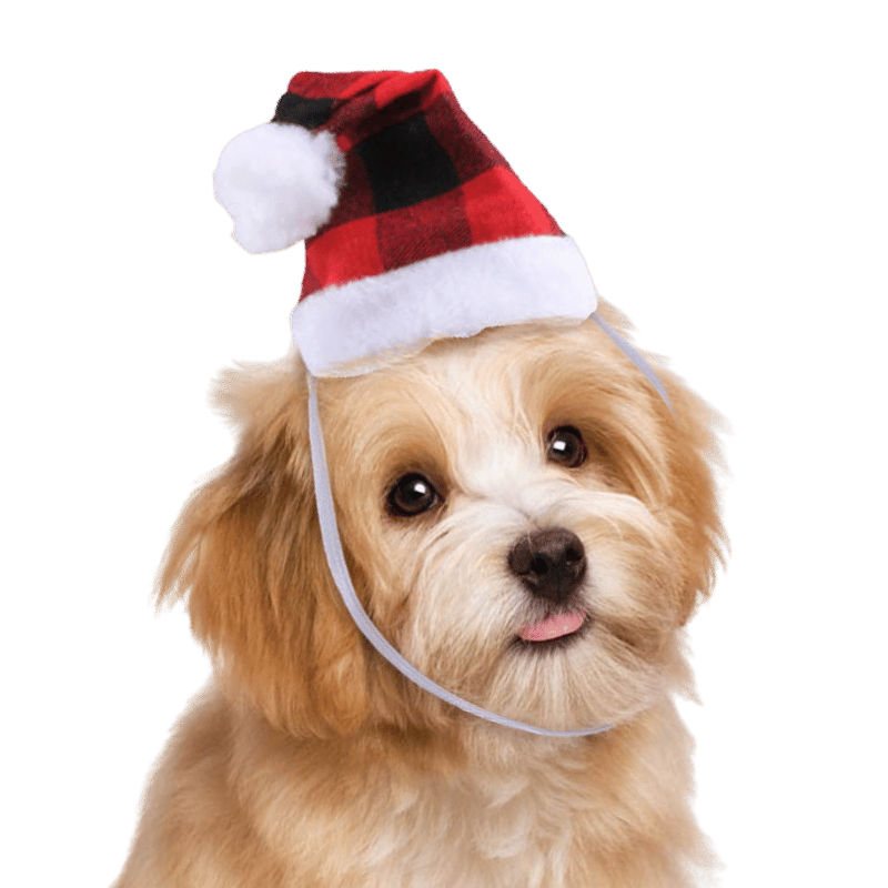 Kerstmuts voor Honden en Hatten