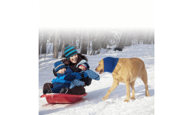 Snood pour Chien contre l'Anxiété pour une Protection des Oreilles contre le Bruit et l'Hiver
