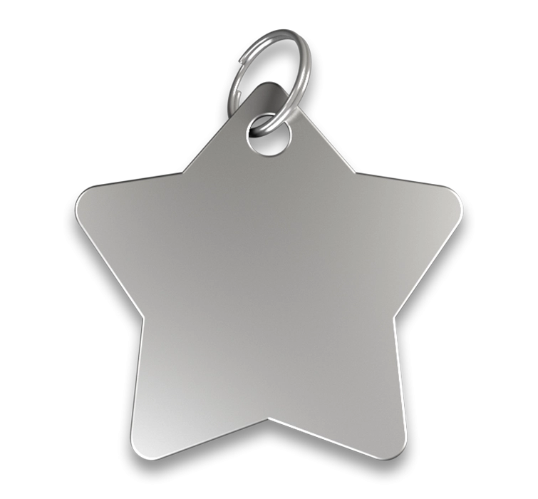 Hondenpenning Ster Zilveren stervormige hondenpenning met gladde afwerking, zilveren ring, personaliseerbaar met gegraveerde hondennaam.