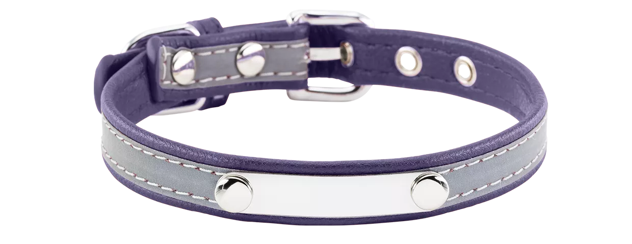 Collier pour Chien Gravé Réfléchissant Collier chien réfléchissant rouge avec plaque ID intégrée, 37-47 cm x 2,5 cm, personnalisable avec nom gravé.