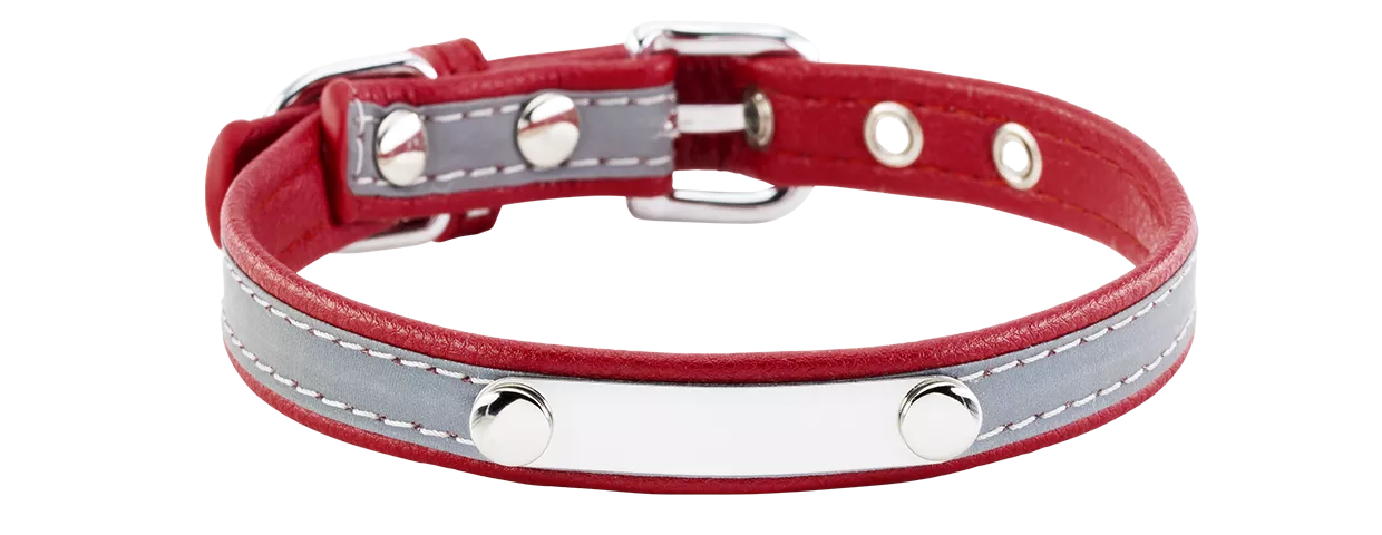 Collier pour Chien Gravé Réfléchissant Collier chien réfléchissant violet avec plaque ID intégrée, 37-47 cm x 2,5 cm, personnalisable avec nom gravé.