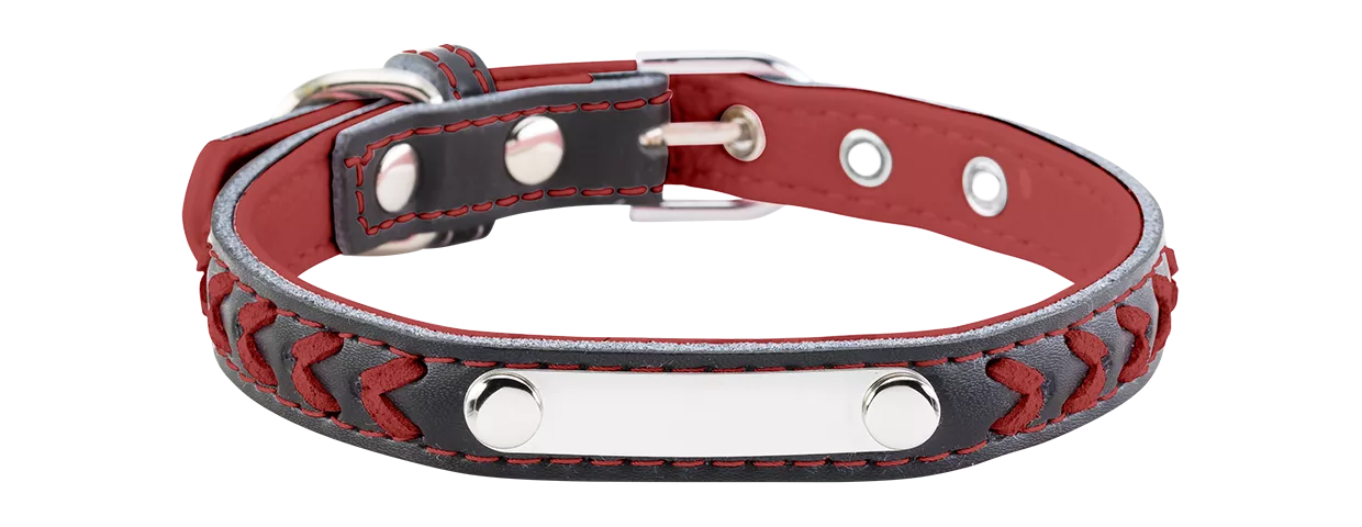 Collier pour Chien Gravé Tressé Collier chien tressé rouge avec plaque ID intégrée pour gravure, 27-34 cm x 1,5 cm, personnalisable avec nom gravé.