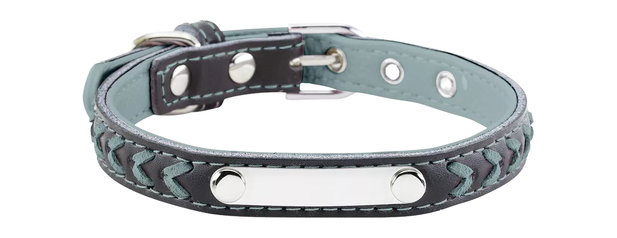 Collier pour Chien Gravé Tressé Collier chien tressé bleu clair avec plaque ID intégrée pour gravure, 27-34 cm x 1,5 cm, personnalisable avec nom gravé.