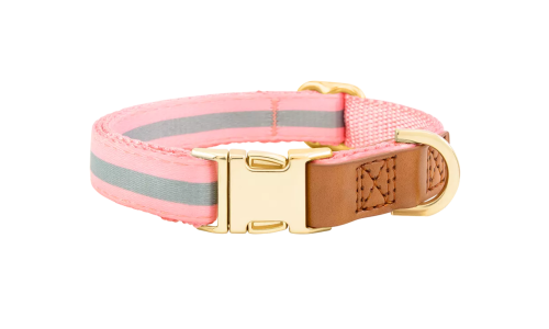 Collier chien rose clair avec boucle métal dorée pour gravure du nom, 40-63 cm x 2,5 cm, avec anneau en D robuste.