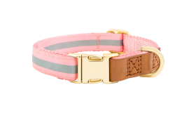 Reflecterende Hondenhalsband met Gegraveerde Gesp Lichtroze hondenhalsband met gouden metalen gesp, 27-40 cm lang, 1.5 cm breed, met D-ring voor naamgravure.