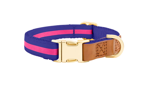 Collier chien bleu avec boucle métal dorée pour gravure du nom, 40-63 cm x 2,5 cm, avec anneau en D robuste.