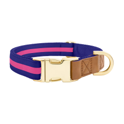 Collier chien bleu avec boucle métal dorée pour gravure du nom, 27-40 cm x 1,5 cm, avec anneau en D robuste.