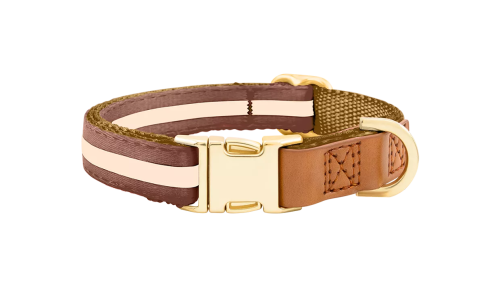 Collier chien marron avec boucle métal dorée pour gravure du nom, 40-63 cm x 2,5 cm, avec anneau en D robuste.