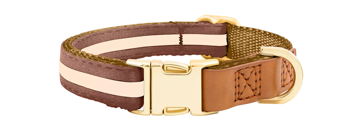 Collier pour Chien avec Boucle Dorée Gravée Collier chien marron avec boucle métal dorée pour gravure du nom, 40-63 cm x 2,5 cm, avec anneau en D robuste.