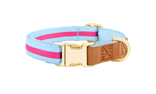 Collier chien bleu clair avec boucle métal dorée pour gravure du nom, 40-63 cm x 2,5 cm, avec anneau en D robuste.