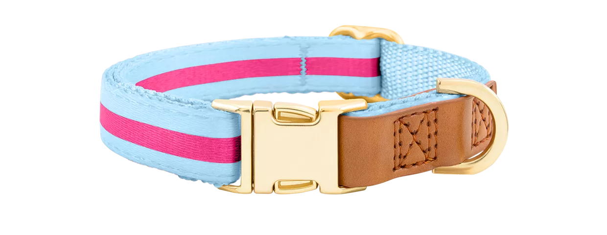 Collier pour Chien avec Boucle Dorée Gravée Collier chien bleu clair avec boucle métal dorée pour gravure du nom, 40-63 cm x 2,5 cm, avec anneau en D robuste.
