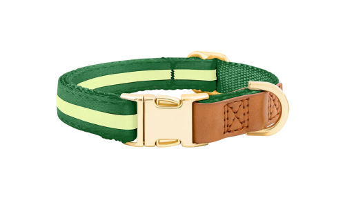 Collier chien vert avec boucle métal dorée pour gravure du nom, 40-63 cm x 2,5 cm, avec anneau en D robuste.
