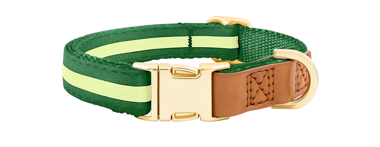 Collier pour Chien avec Boucle Dorée Gravée Collier chien vert avec boucle métal dorée pour gravure du nom, 40-63 cm x 2,5 cm, avec anneau en D robuste.