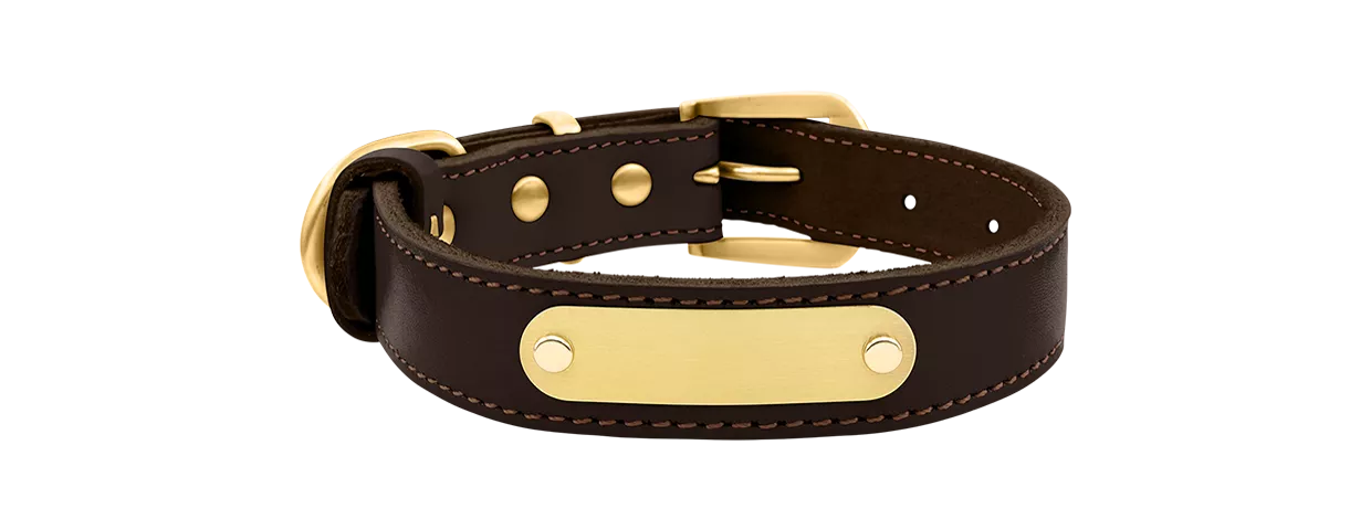 Collier pour Chien avec Plaque de Nom Gravée Cuir Collier chien en cuir véritable marron avec plaque ID dorée pour gravure du nom et détails, 54-58 cm x 2,5 cm.