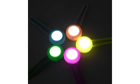 Médaillon LED détachable pour Chien avec lampe de Collier Lumineuse