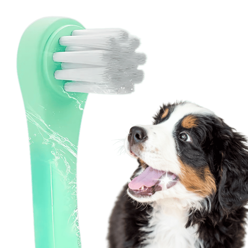 Gentle Clean tandenborstel voor honden en katten met zachte nylon borstelharen