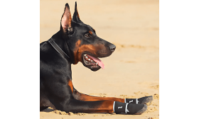 Waterdichte Hondenschoenen met 360° Reflectie & Antislip Zool – Veilige Pootbescherming voor Buiten en Wandelen Waterdichte Hondenschoenen met 360° Reflectie & Antislip Zool – Veilige Pootbescherming voor Buiten en Wandelen