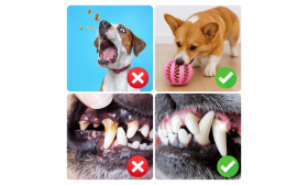 Jouet Distributeur de Friandises pour Chien – Balle à Mâcher en Caoutchouc pour le Jeu et l’Enrichissement