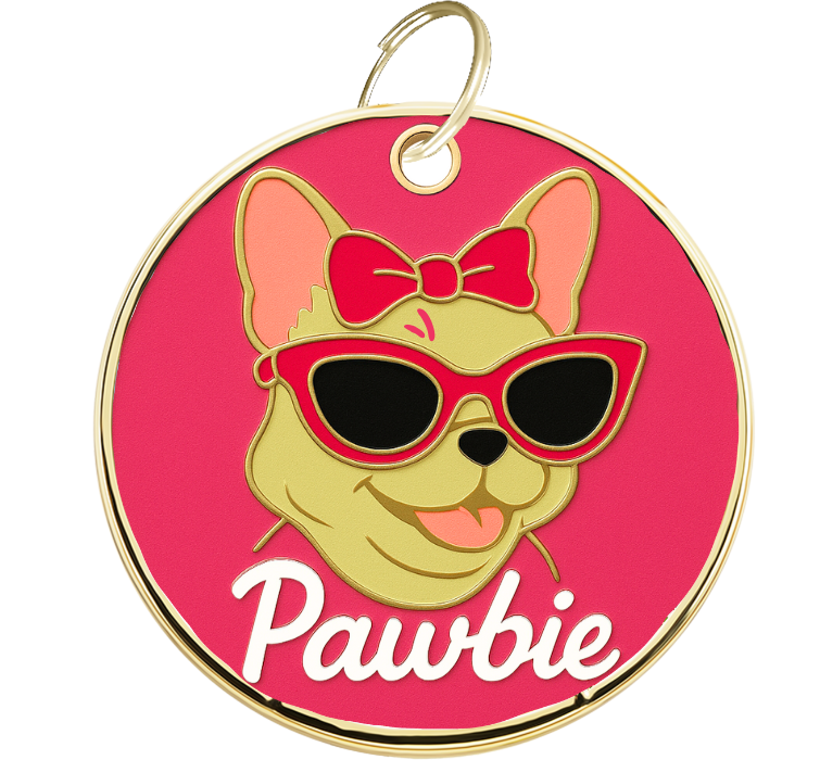 Médaille gravée Pawbie pour chien