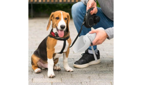 Opvouwbare Honden Waterfles 550ml - Voedselveilig Siliconen Water Reiskom Huisdier