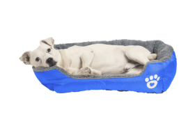 Lit doux pour Chien Lit doux pour Chien