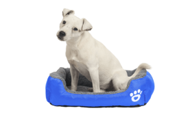 Lit doux pour Chien Lit doux pour Chien