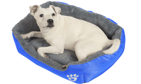 Lit doux pour Chien Lit doux pour Chien