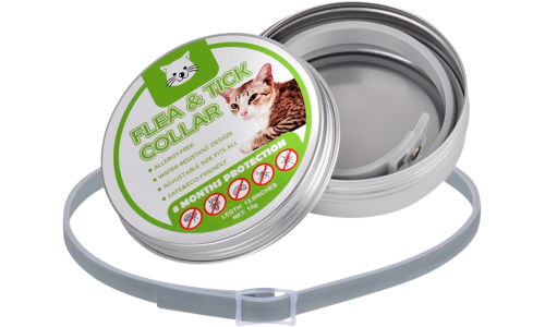 Chat portant un collier anti-puces et tiques, protection complète contre puces, tiques, poux et moustiques.