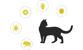 Natuurlijke Vlooien en Teken Halsband voor Katten Natuurlijke vlooien- en tekenhalsband voor katten, gerichte bescherming tegen vlooien, teken, larven, luizen, muggen.