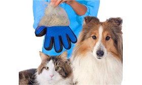 Gant de Toilettage pour Chien Gant de toilettage bleu pour chien et chat, cinq doigts détaillés avec embouts en caoutchouc pour un toilettage efficace.