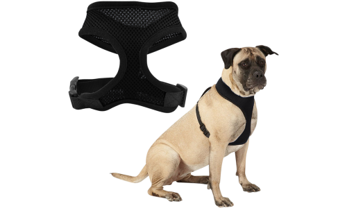 Chien portant un harnais chien en mesh noir, léger, attaché à une laisse, montrant l’ajustement et le confort.