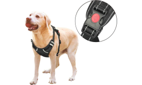 Honden Harnas Niet Trekkend Hond in no-pull harnas met close-up van duurzame gesp, kleine maat, ideaal voor veilige beperking tijdens wandelingen.