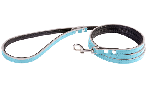 Laisse chien en cuir bleue, 1,5 m, taille petite, couture solide, fermoir durable, intérieur rembourré en cuir véritable.