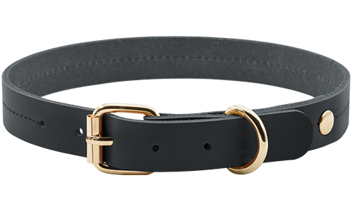 Collier chien en cuir noir et tan, 27-34 cm x 2,2 cm, boucle dorée et anneau en D, durable et élégant.