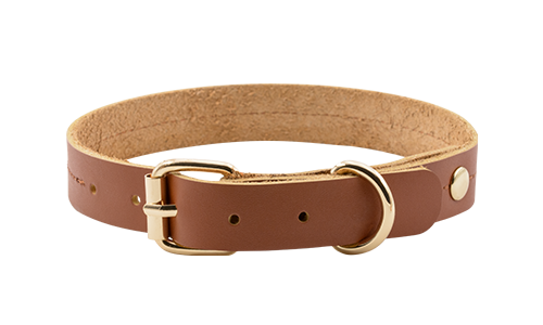 Collier pour Chien en Cuir Véritable Haut de Gamme Collier pour Chien en Cuir Véritable Haut de Gamme