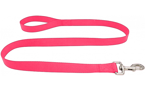 Laisse chien en nylon bleu durable 120 cm, facile à nettoyer, matériau résistant et fermoir argenté sécurisé.