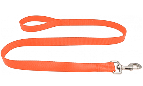 Laisse chien en nylon bleu durable 120 cm, facile à nettoyer, avec poignée confortable et fermoir argenté sécurisé.