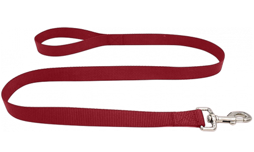 Laisse chien en nylon orange durable 120 cm, facile à nettoyer, matériau résistant et fermoir argenté sécurisé.
