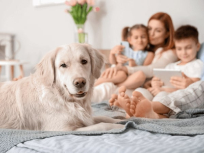 Les 12 meilleures races de chien pour la famille : trouver le chien idéal pour sa famille