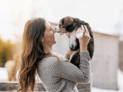 Changer le nom d’un chien adopté : peut-on changer le nom de son chien ?